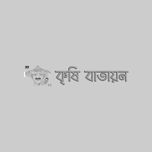 জলপাইয়ের খোসা পোকা